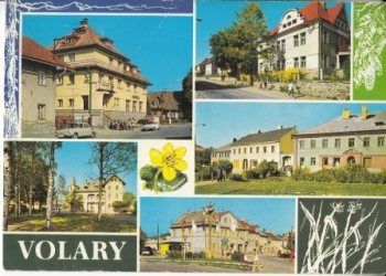 Wallern 1977 95 001 ●